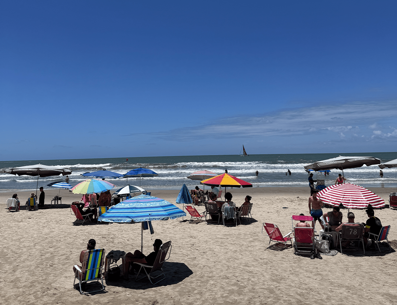 A Vibrante Vida Costeira de Itapema