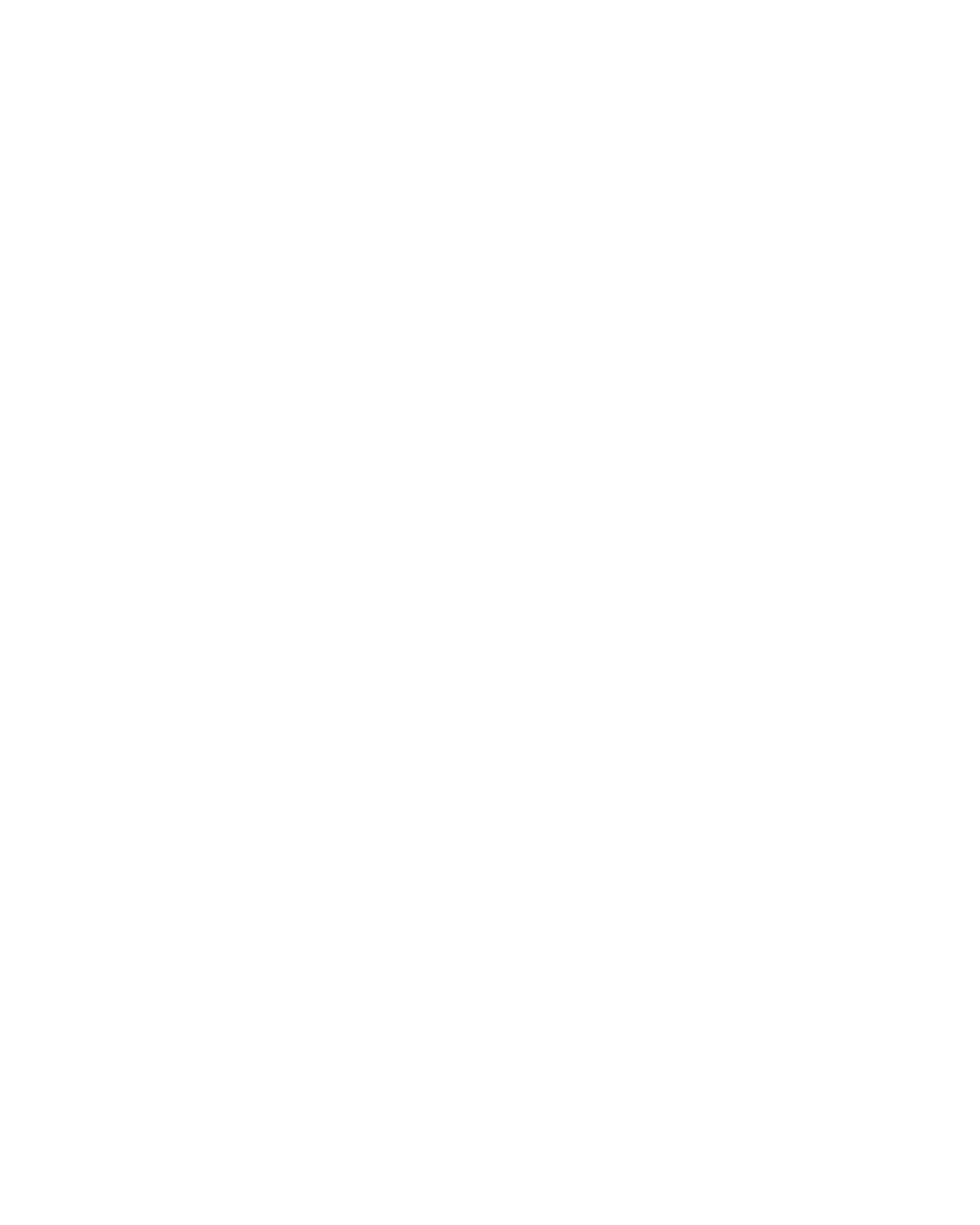 ZTW – LOGO 2025 A